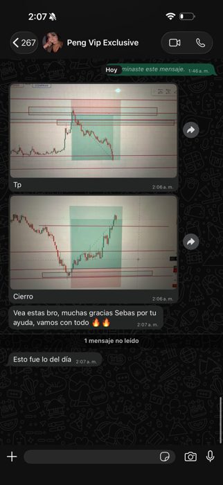 Testimonio de Peng, VIP Exclusive, resultado TP y cierre